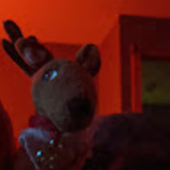 Meet your Posher, Denise - Picture 1 of 1